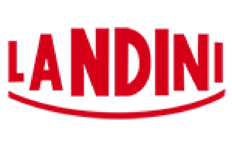 Landini