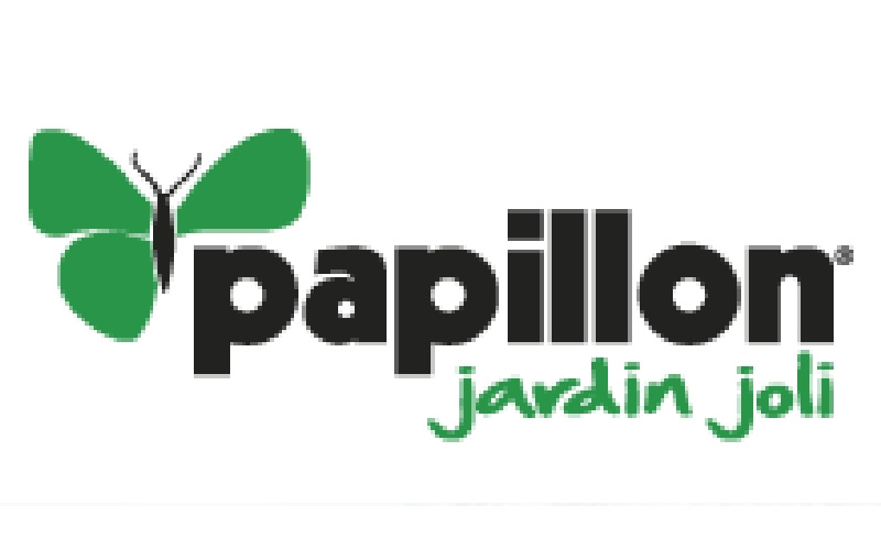 Papillon